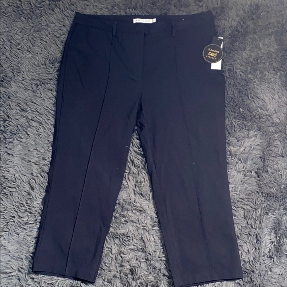 Plus size Dress Slacks
